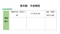 2022年九年级中考数学考点一轮复习课件--微专题  半角模型