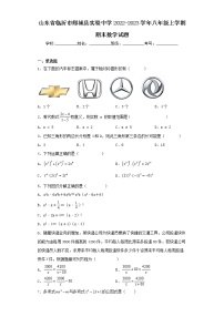 山东省临沂市郯城县实验中学2022-2023学年八年级上学期期末数学试题