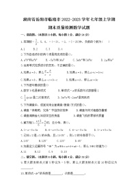 湖南省岳阳市临湘市2022-2023学年七年级上学期期末质量检测数学试题