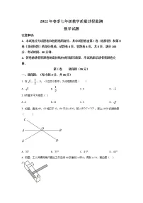 四川省绵阳市江油市2021-2022学年七年级下学期期中考试数学试卷