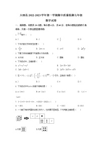 福建省三明市大田县2022-2023学年七年级上学期期中质量检测数学试卷 (1)