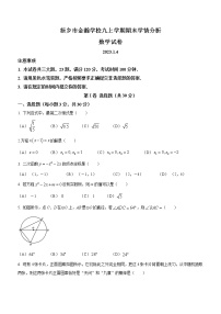 河南省新乡市封丘县金瀚学校2022-2023学年九年级上学期期末数学试题