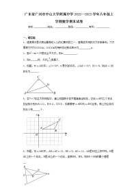 广东省广州市中山大学附属中学2022—2023学年八年级上学期数学期末试卷