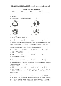 湖北省武汉市武昌区水果湖第二中学2022-2023学年八年级上学期期末考试素养调研卷