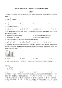 河南省南阳市五校2022-2023学年八年级上学期期末联考数学试题(含答案)