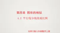 北师大版九年级上册第四章 图形的相似2 平行线分线段成比例图片课件ppt