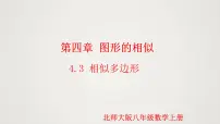初中数学北师大版九年级上册3 相似多边形说课ppt课件