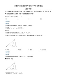 2022年河北省中考数学真题