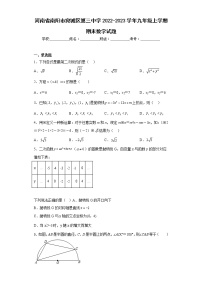 河南省南阳市宛城区第三中学2022-2023学年九年级上学期期末数学试题