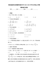 河南省南阳市宛城区实验中学2022-2023学年九年级上学期期末数学试题