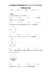 江苏省盐城市亭湖区盐城景山中学2022-2023学年九年级上学期期末数学试题