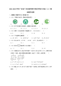 2022-2023学年广东省广州市清华附中湾区学校八年级（上）期末数学试卷