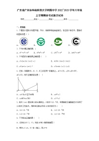 广东省广州市华南师范大学附属中学2022_2023学年八年级上学期期末考试数学试卷