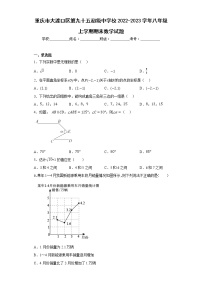 重庆市大渡口区第九十五初级中学校2022-2023学年八年级上学期期末数学试题