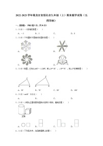 2022-2023学年黑龙江省绥化市九年级（上）期末数学试卷（五四学制）