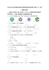 2022-2023学年湖北省武汉外国语学校美加分校八年级（上）期末数学试卷