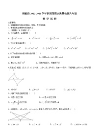 河南省南阳市桐柏县2022-2023学年八年级上学期期末数学试题(含答案)