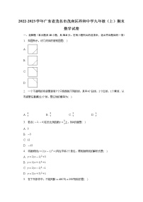 广东省茂名市茂南区祥和中学2022-2023学年九年级上学期期末数学试卷 (含答案)