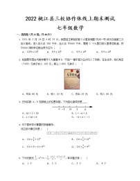 湖南省桃江县三校协作体2022-2023学年七年级上学期线上期末测试 数学 试题  (含答案)