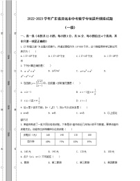 2022-2023学年广东省清远市中考数学专项提升模拟试题（一模二模）含解析