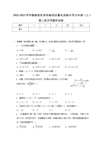 2022-2023学年湖南省长沙市雨花区雅礼实验中学九年级（上）第三次月考数学试卷(解析版)