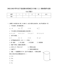 2022-2023学年辽宁省沈阳市浑南区八年级（上）测评数学试卷（11月份）(解析版)