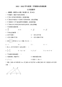 广东省汕头市濠江区2021-2022学年七年级下学期期末考试数学试题(含答案)