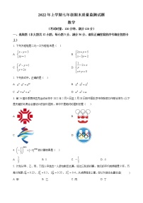 湖南省娄底市新化县2021-2022学年七年级下学期期末质量监测数学试题(含答案)