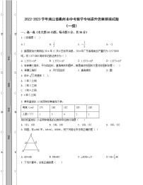 2022-2023学年浙江省衢州市中考数学专项提升仿真模拟试题（一模二模）含解析