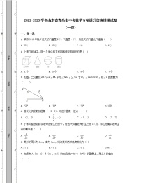 2022-2023学年山东省青岛市中考数学专项提升仿真模拟试题（一模二模）含解析