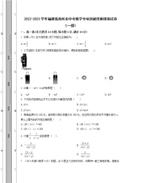 2022-2023学年福建省漳州市中考数学专项突破仿真模拟试卷（一模二模）含解析