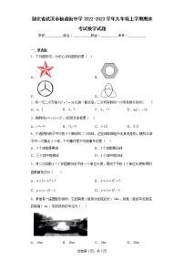 湖北省武汉市粮道街中学2022-2023学年九年级上学期期末考试数学试题