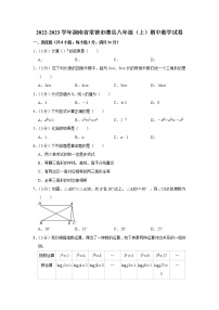 2022-2023学年湖南省常德市澧县八年级（上）期中数学试卷