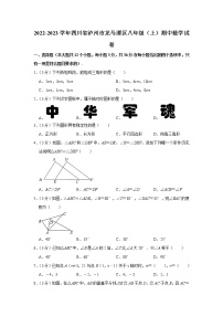 2022-2023学年四川省泸州市龙马潭区八年级（上）期中数学试卷