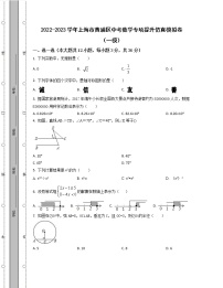 2022-2023学年上海市黄浦区中考数学专项提升仿真模拟卷（一模二模）含解析