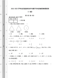 2022-2023学年山东省滨州市中考数学专项突破仿真模拟卷(一模二模)含解析