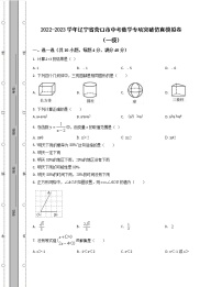 2022-2023学年辽宁省营口市中考数学专项突破仿真模拟卷（一模二模）含解析