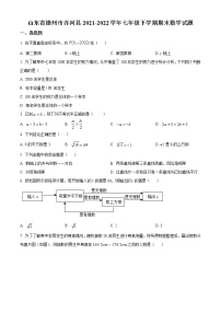 山东省德州市齐河县2021-2022学年七年级下学期期末数学试题(含答案)