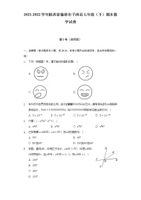 陕西省榆林市子洲县2021-2022学年七年级（下）期末数学试卷(解析版)