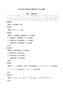 初中数学中考复习 （山东卷）2020年中考数学第三次模拟考试（全解全析）