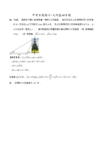 初中数学中考复习 2020中考数学-专题练习：几何基础（含答案）