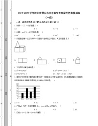 2022-2023学年河北省邢台市中考数学专项提升仿真模拟卷（一模二模）含解析