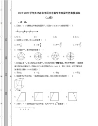 2022-2023学年天津市和平区中考数学专项提升仿真模拟卷（二模三模）含解析