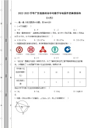 2022-2023学年广东省惠州市中考数学专项提升仿真模拟卷（3月4月）含解析