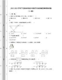 2022-2023学年广东省深圳市中考数学专项突破仿真模拟试题（一模二模）含解析