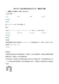 初中数学中考复习 精品解析：2019年广东省深圳市南山区中考一模数学试题（解析版）