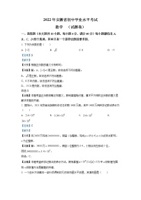 初中数学中考复习 精品解析：2022年安徽省中考数学真题 （解析版）