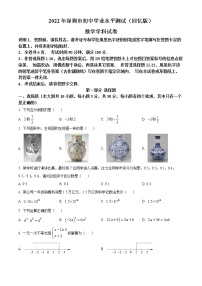 初中数学中考复习 精品解析：2022年广东省深圳市中考数学真题（原卷版）