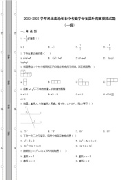 2022-2023学年河北省沧州市中考数学专项提升仿真模拟试题（一模二模）含解析