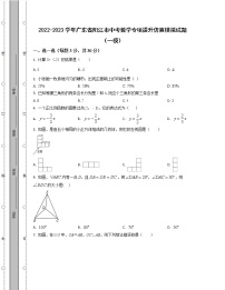 2022-2023学年广东省阳江市中考数学专项提升仿真模拟试题（一模二模）含解析